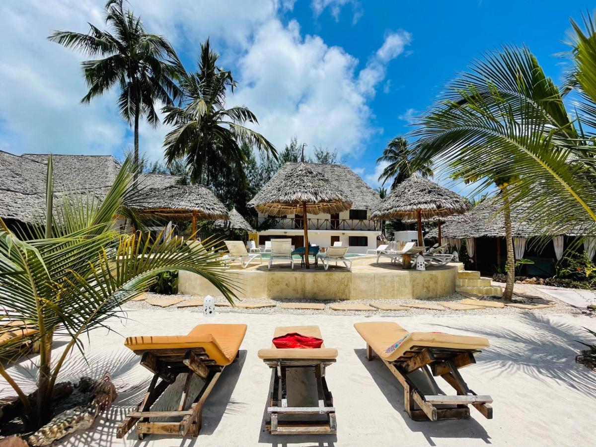 Oleza Boutique Zanzibar Hotel Michamvi